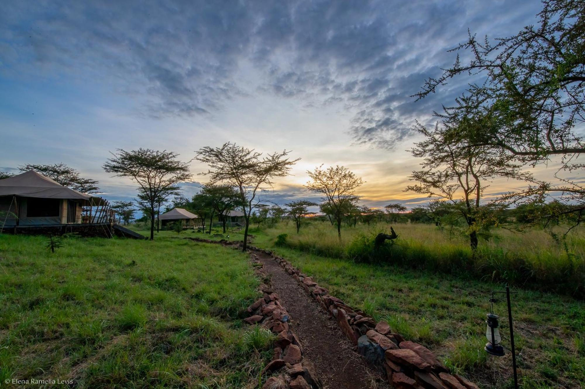 Serengeti Kifaru Tented Lodge Mugumu Exterior foto