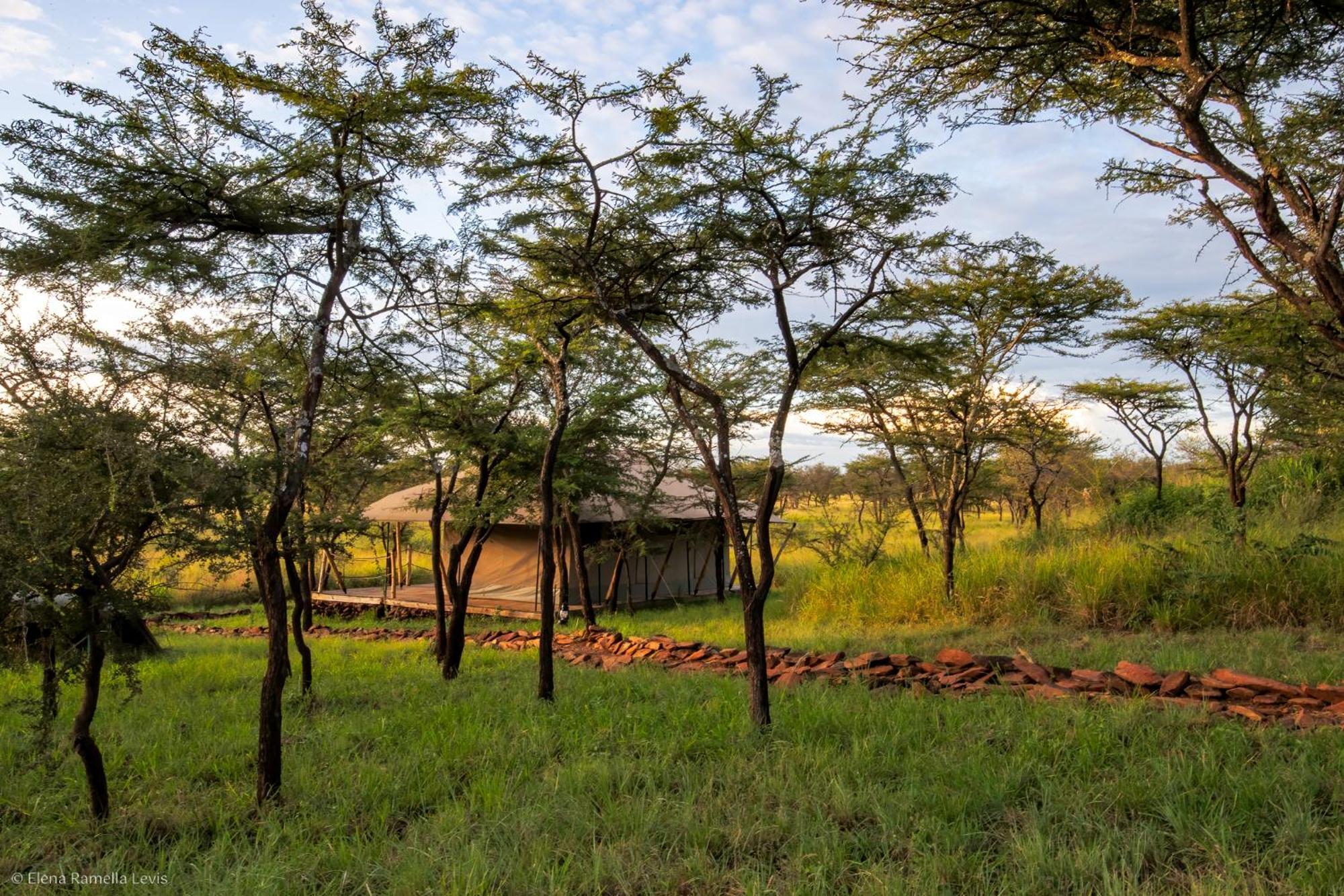 Serengeti Kifaru Tented Lodge Mugumu Exterior foto